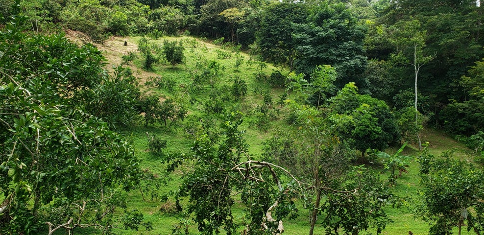 Land for Sale in Panama City Panamá Province 07019
